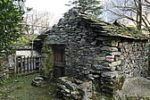 p1030439.jpg