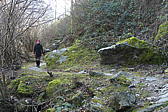 p1030445.jpg