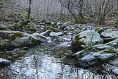 p1030465.jpg