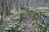 p1030466.jpg
