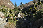 p1030506.jpg