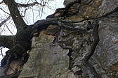 p1030508.jpg