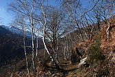 p1030509.jpg