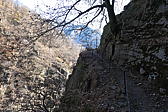 p1030512.jpg