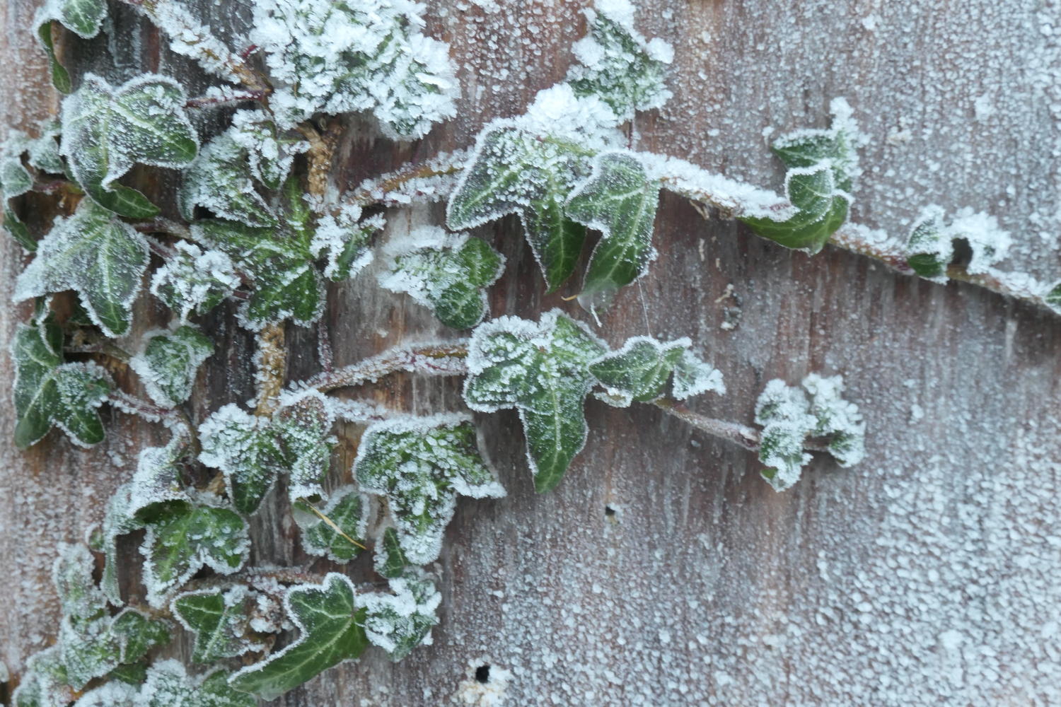 p1002071.jpg