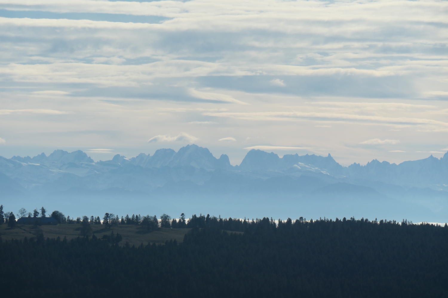 p1002075.jpg