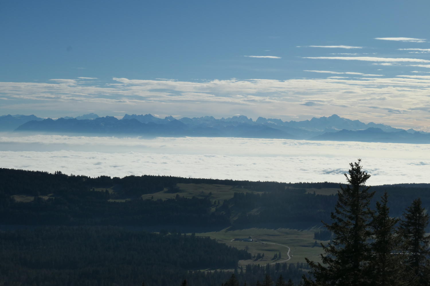 p1002080.jpg