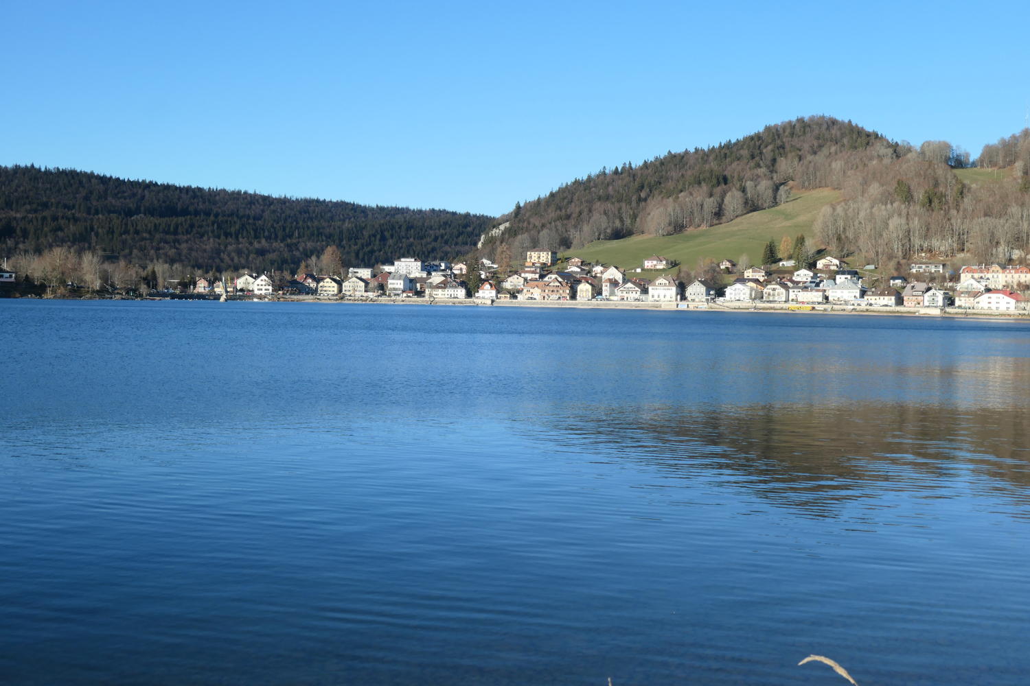 p1002097.jpg