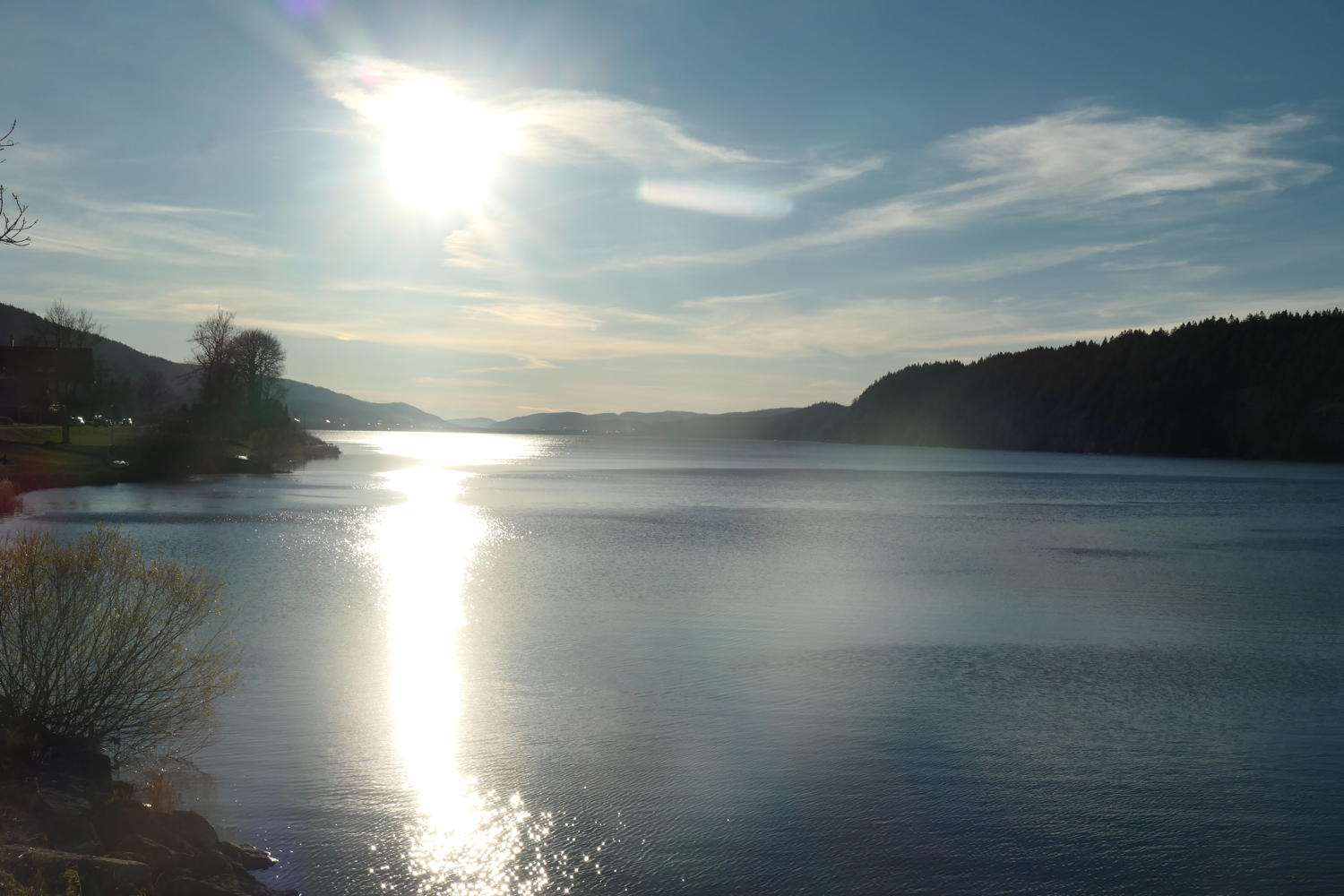 p1002100.jpg