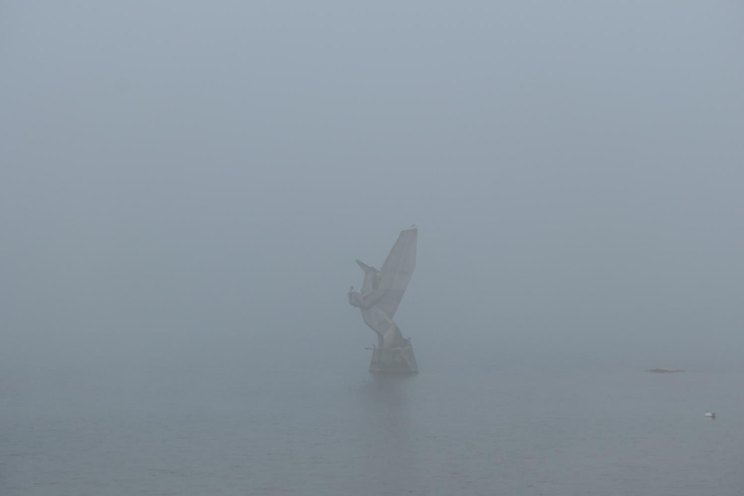 p1002107.jpg