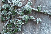p1002071.jpg