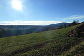 p1002072.jpg