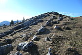 p1002079.jpg
