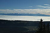 p1002080.jpg