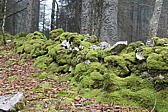 p1002110.jpg