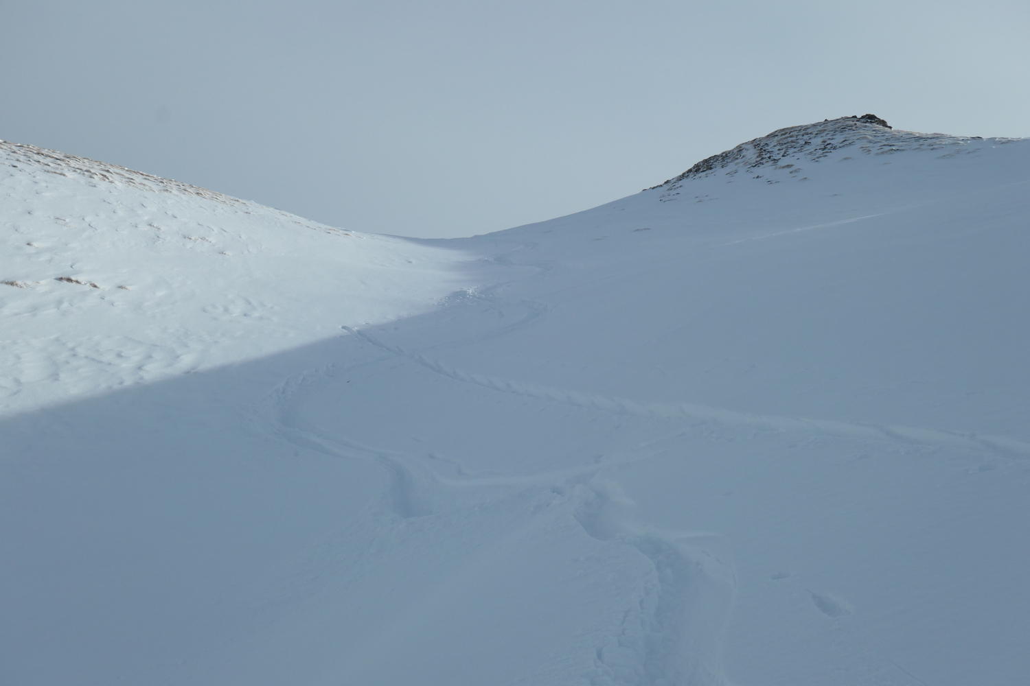 p1002199.jpg