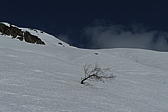 p1030538.jpg
