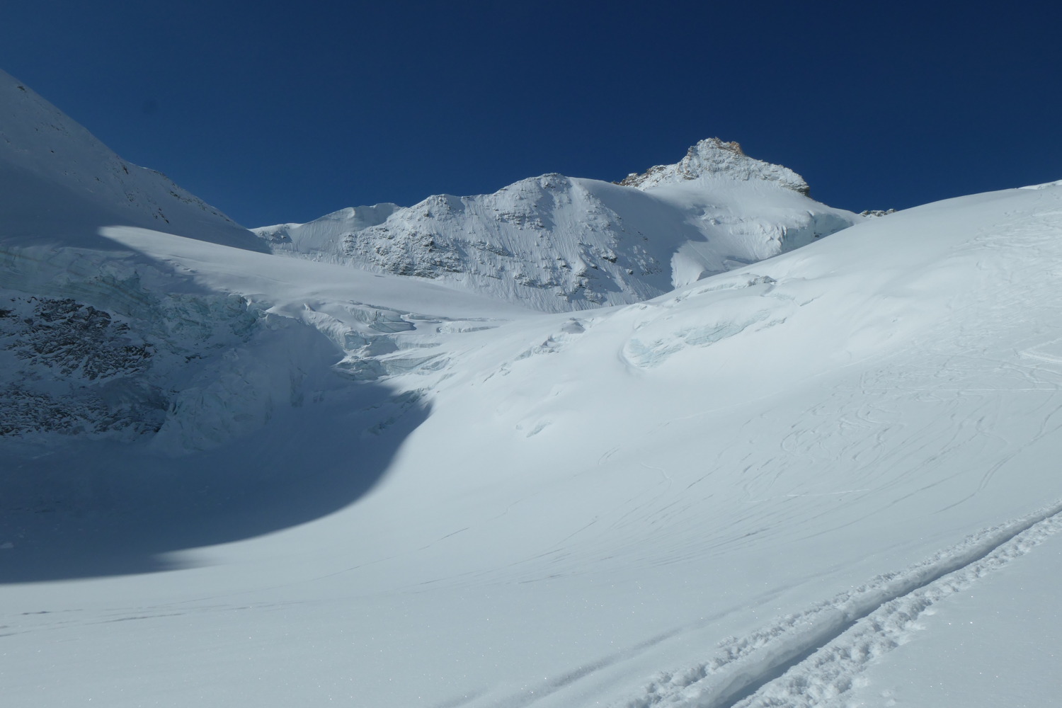 p1002832.jpg