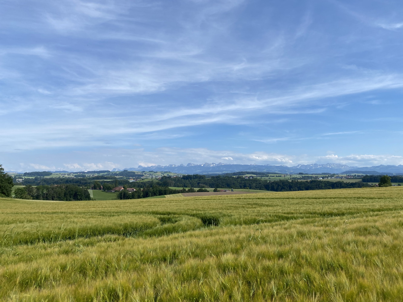 210615_fribourg1.jpg