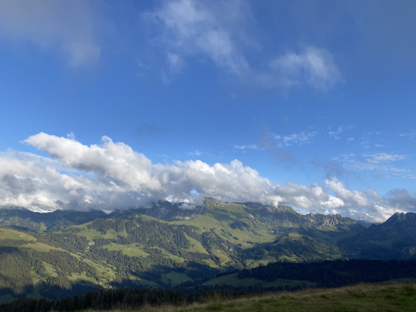 210805_schwyberg4.jpg