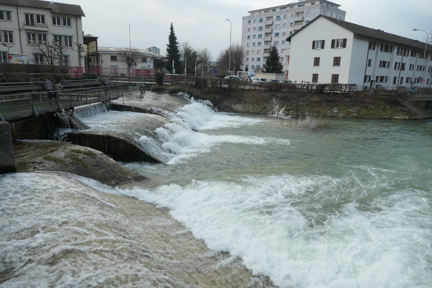 p1002390.jpg