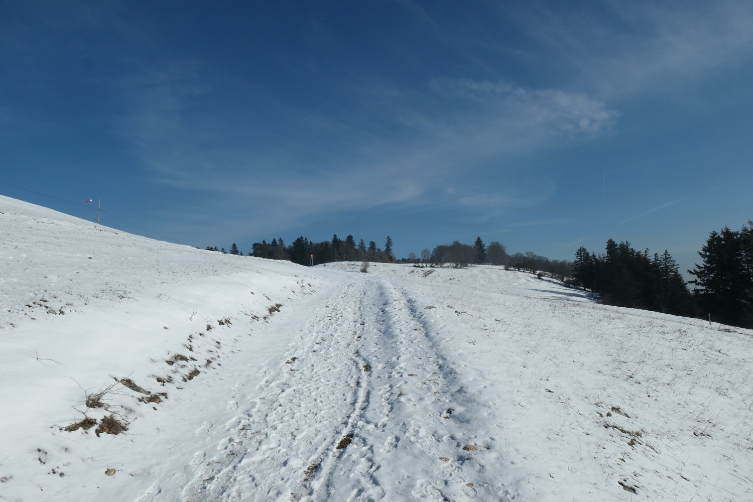 p1002393.jpg