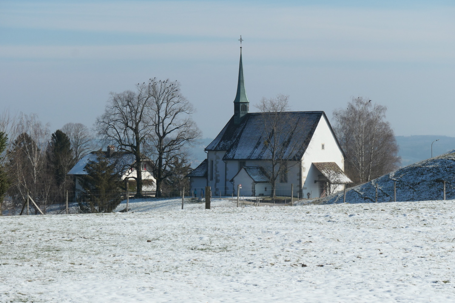 p1002411.jpg