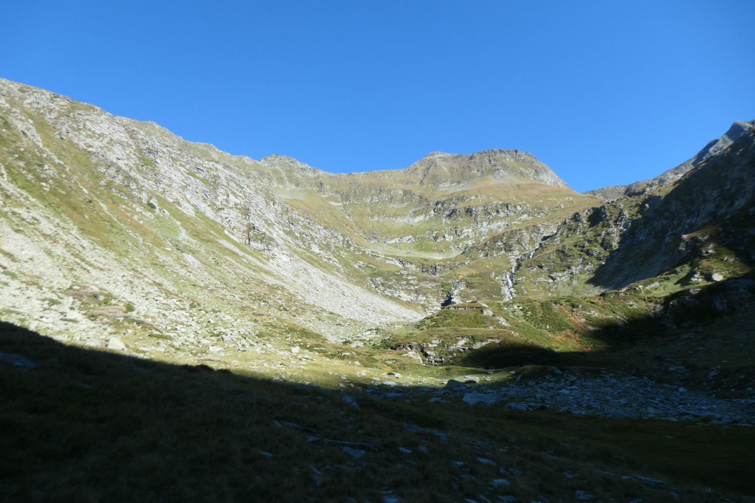 p1004462.jpg