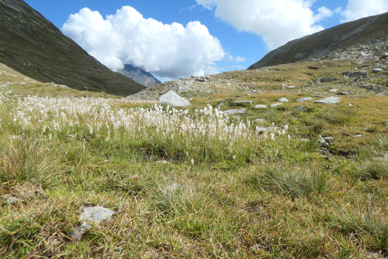 p1004481.jpg