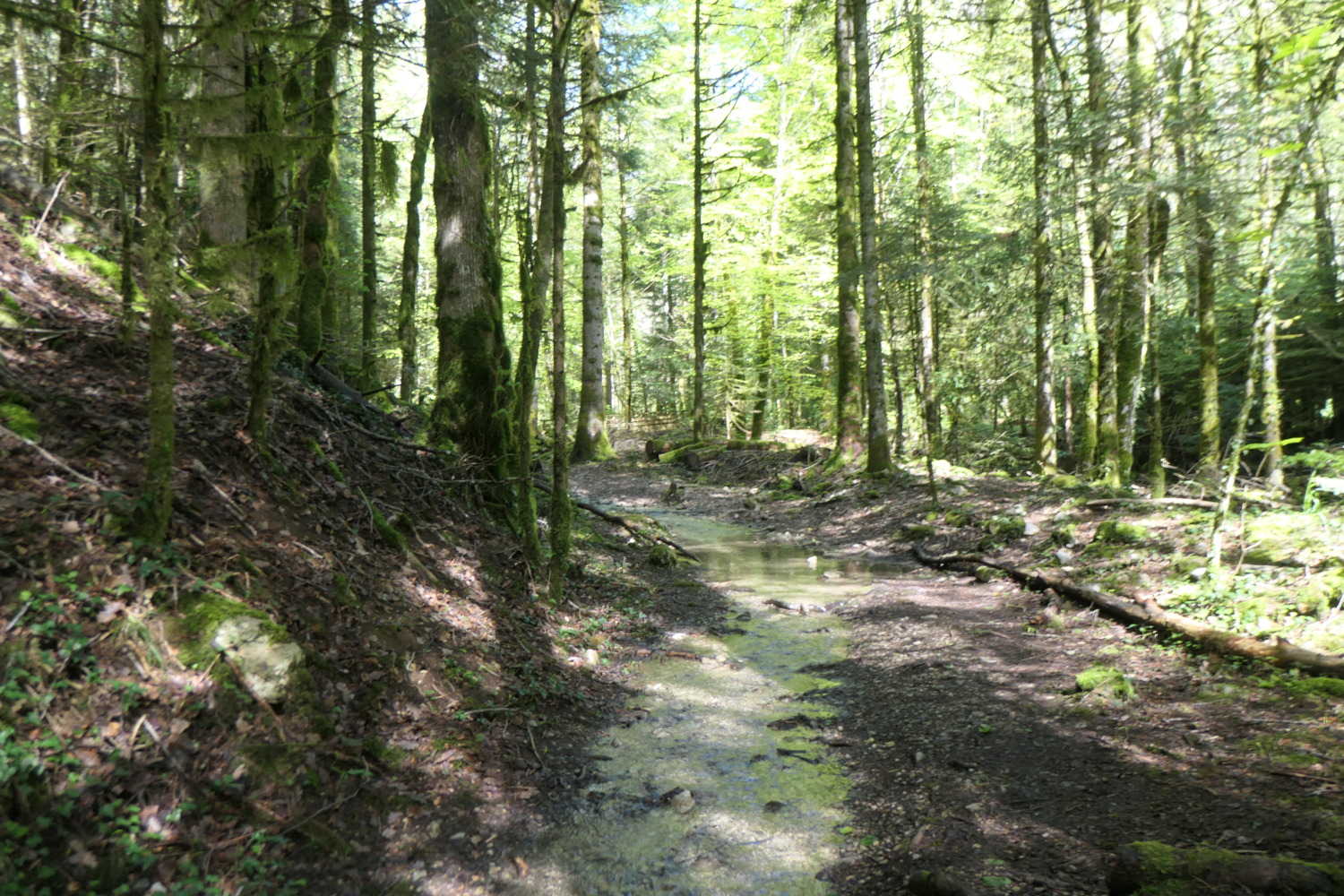 p1002970.jpg