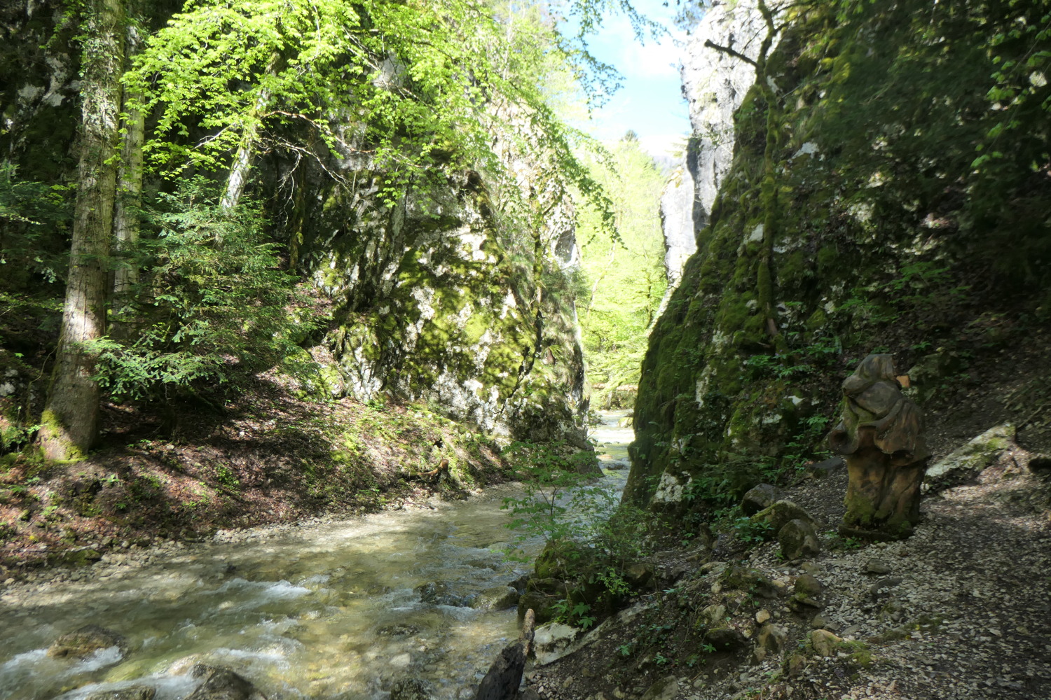 p1002974.jpg