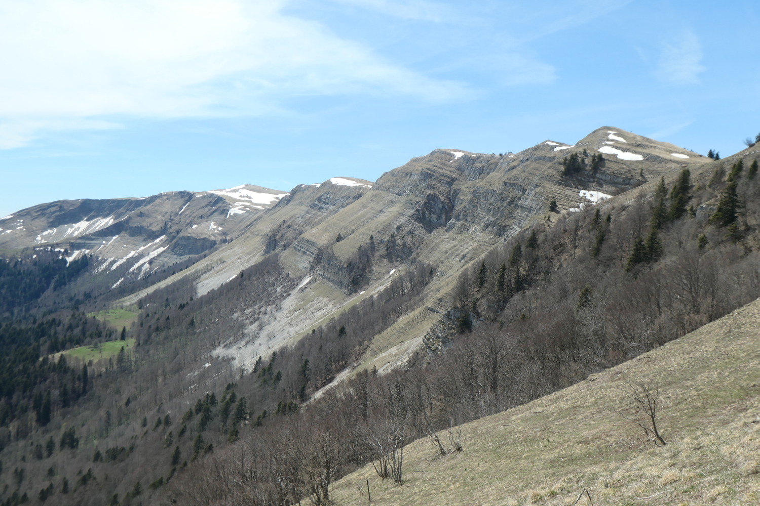 p1002992.jpg