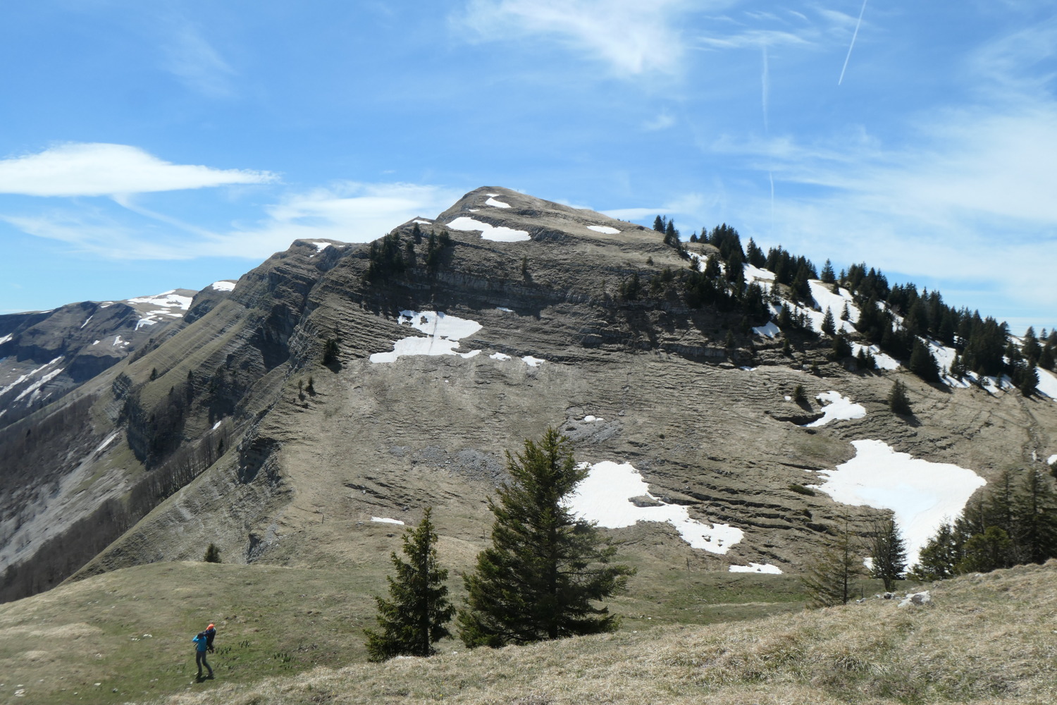 p1002994.jpg