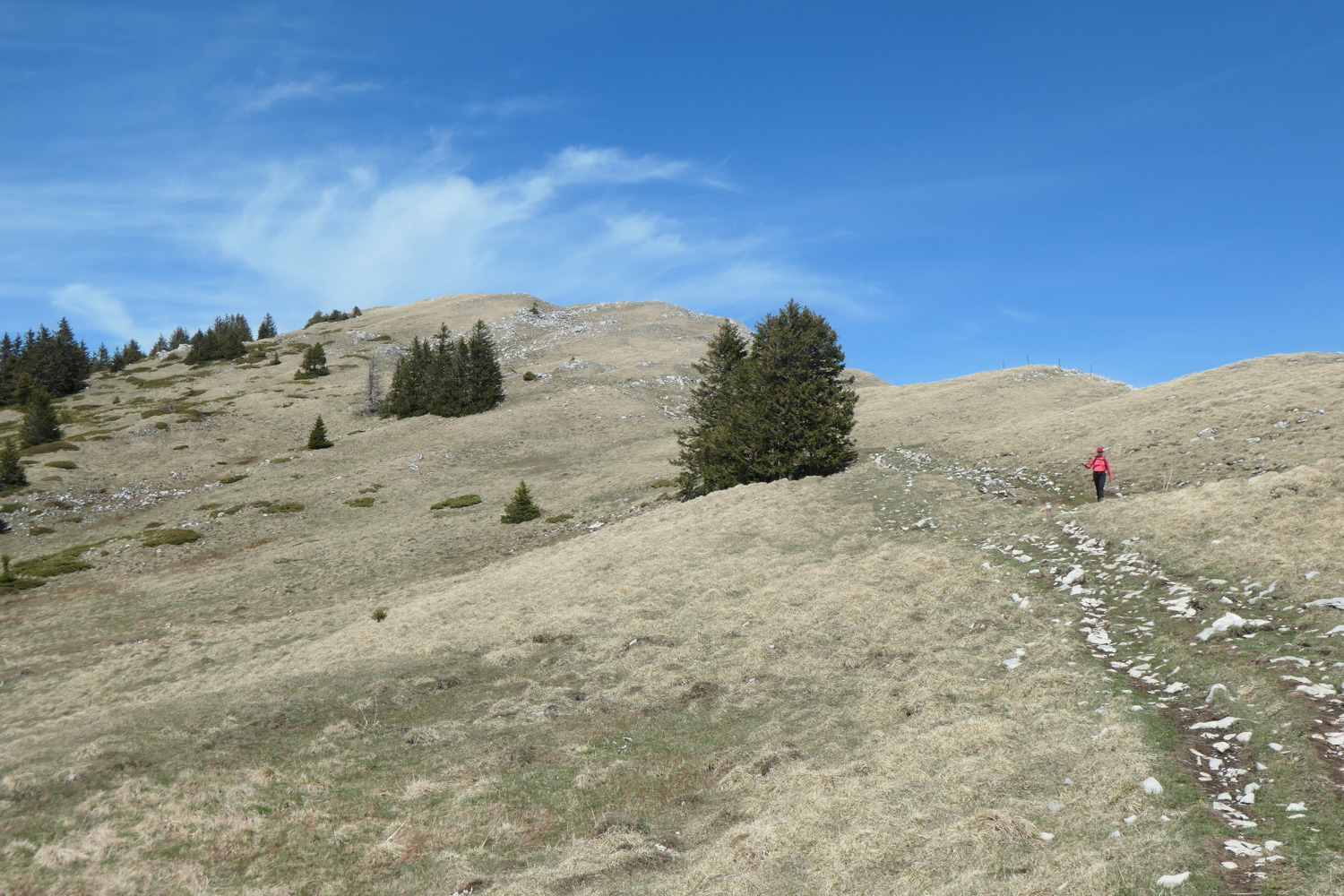 p1002997.jpg