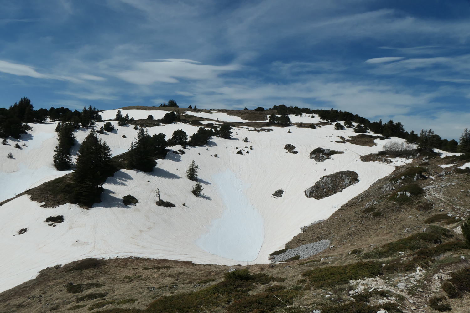 p1003025.jpg