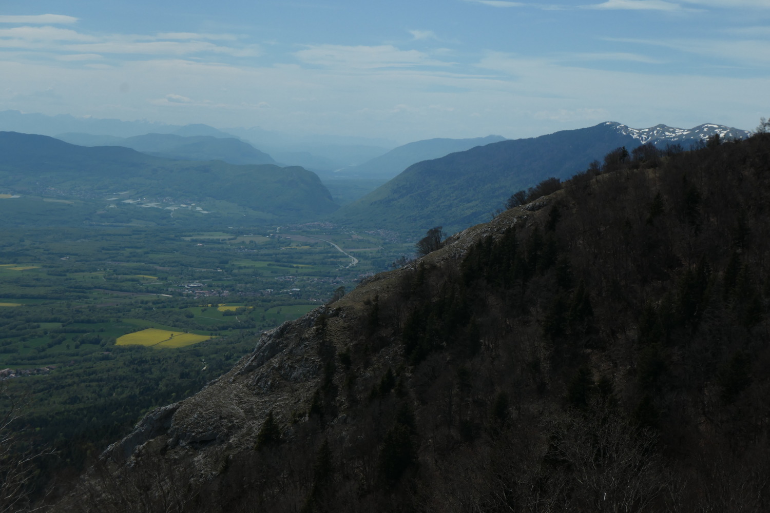 p1003037.jpg
