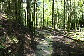 p1002970.jpg