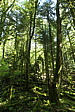 p1002973.jpg