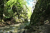 p1002974.jpg