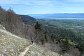 p1002990.jpg
