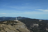 p1002995.jpg