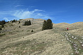 p1002997.jpg