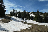 p1003021.jpg