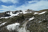 p1003034.jpg
