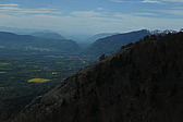 p1003037.jpg