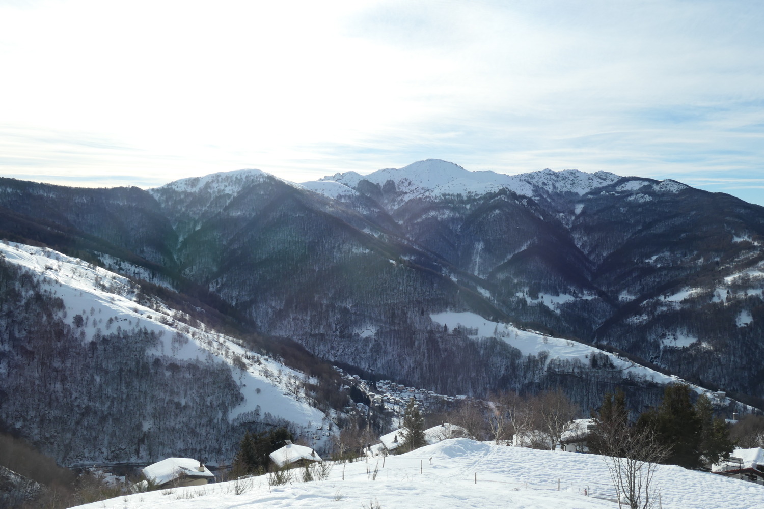 p1002327.jpg