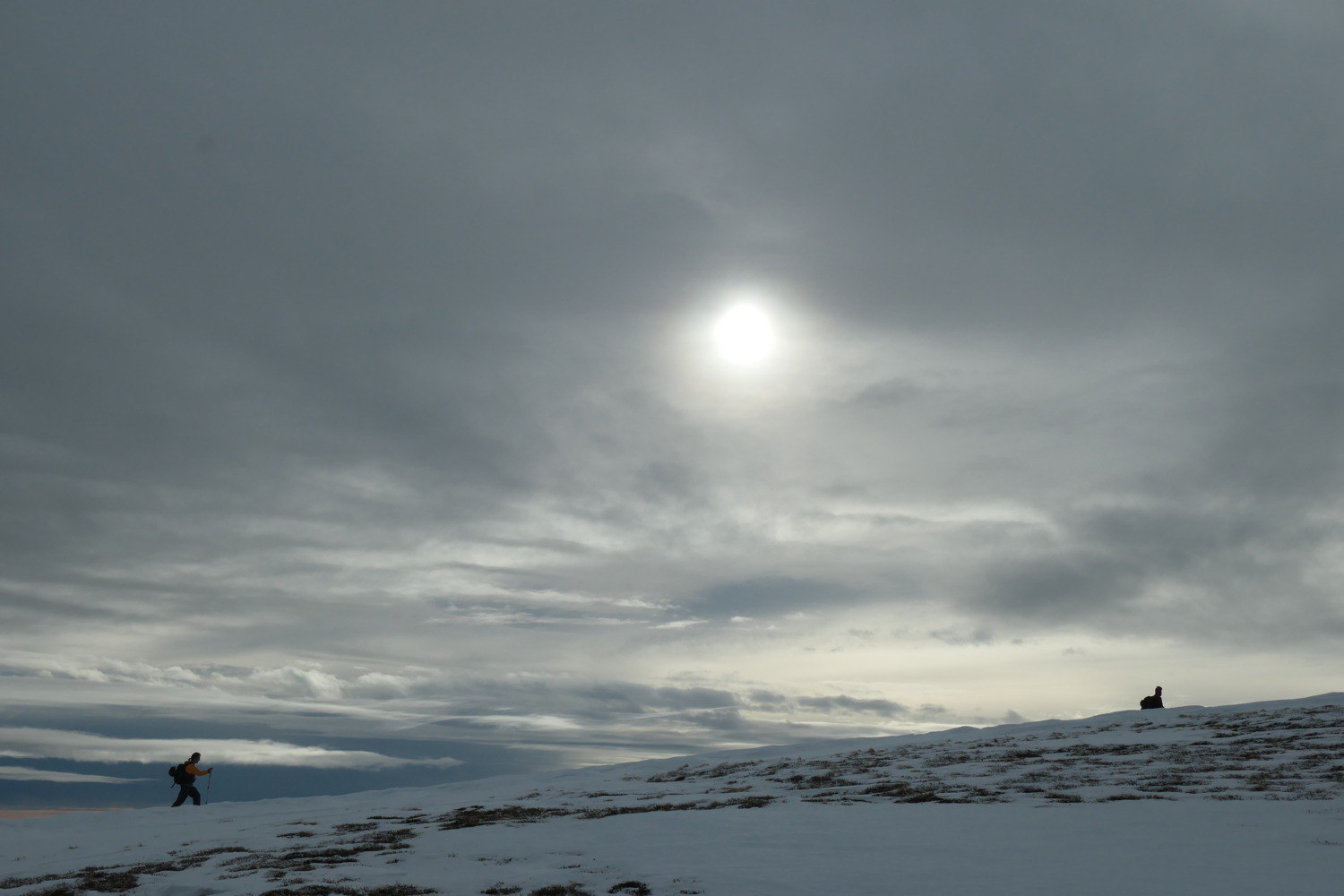 p1002341.jpg