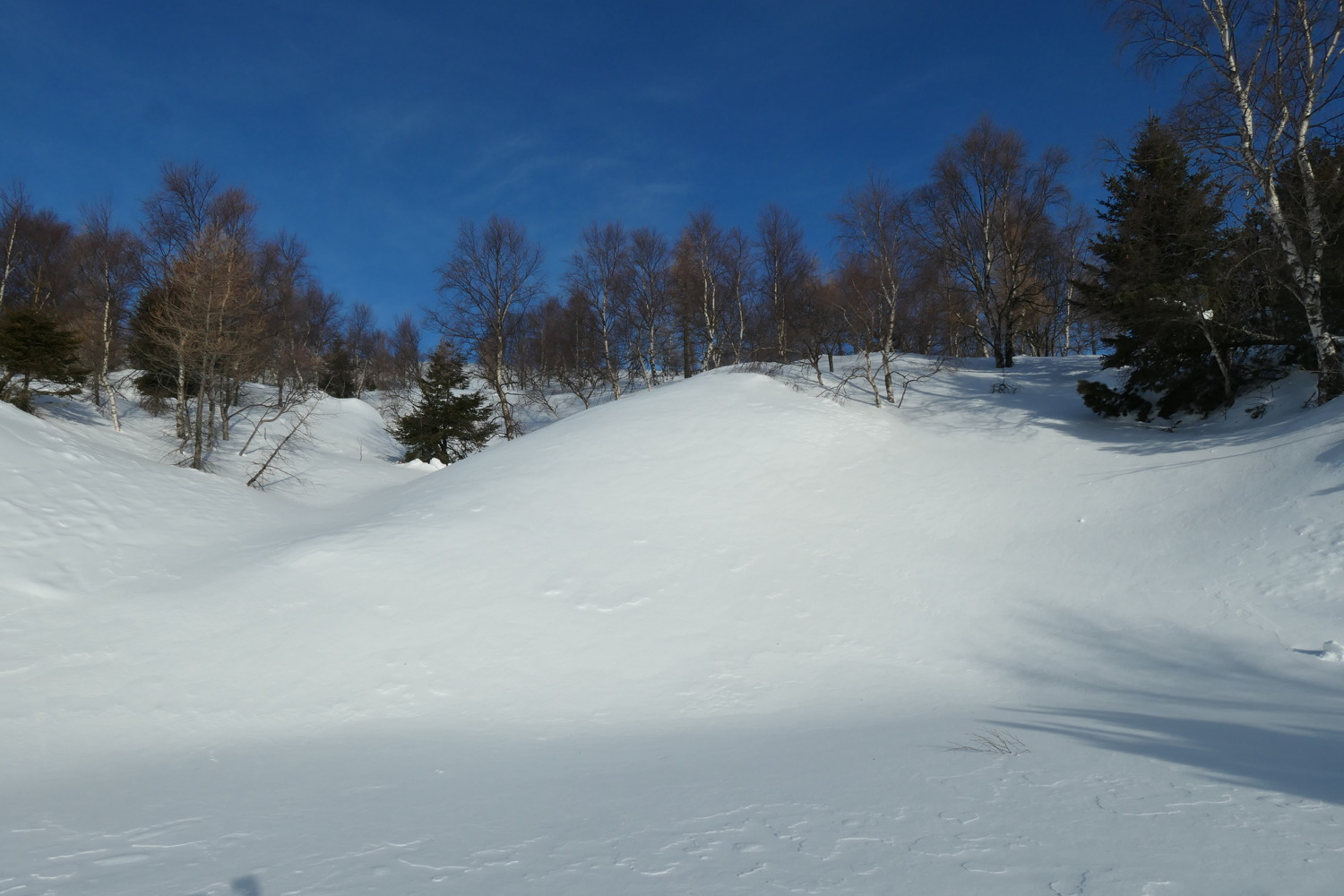 p1002354.jpg