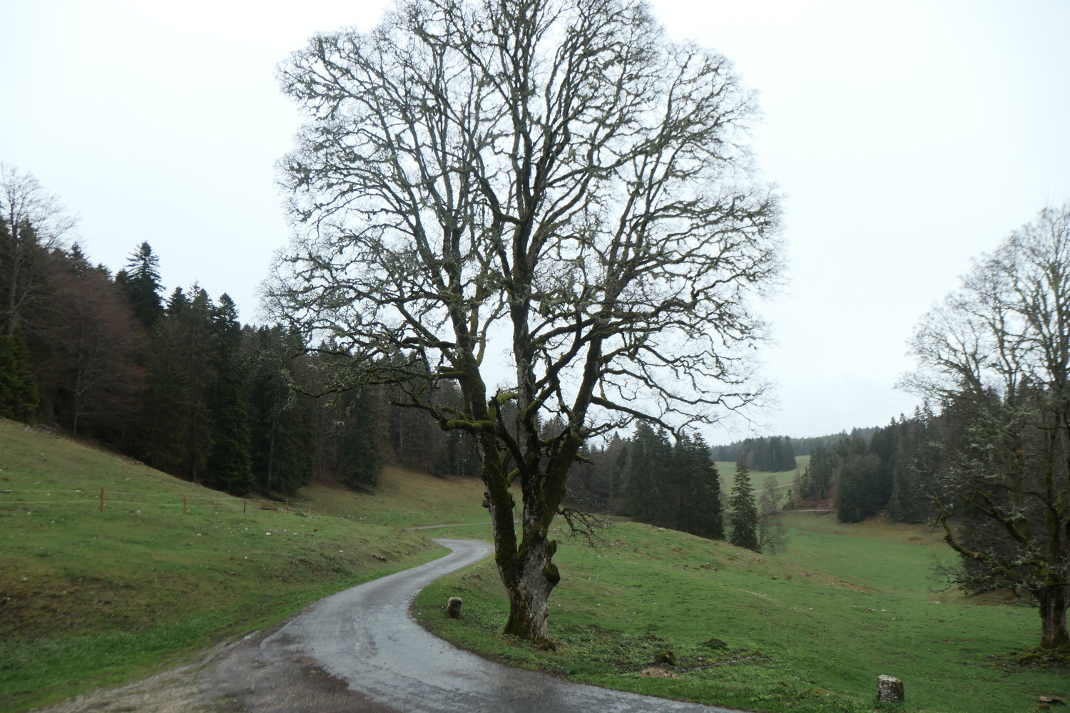 p1002930.jpg