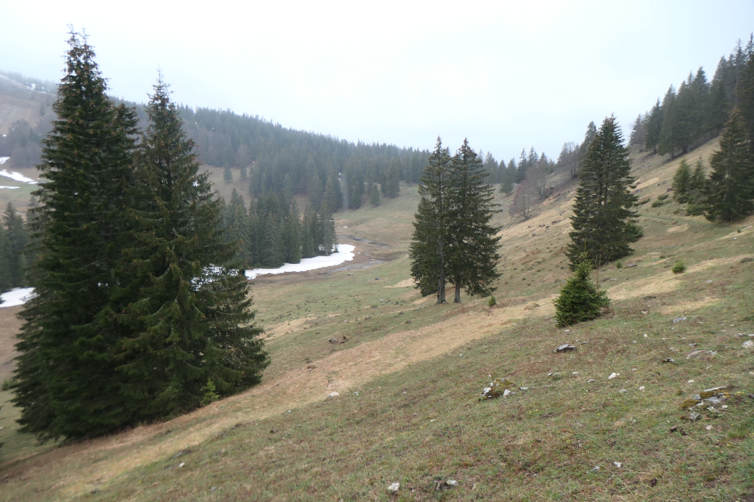 p1002935.jpg